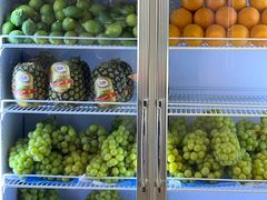 -雾与山茶(大禹城店)