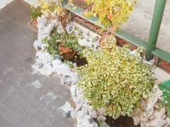 -火火咖啡&茶空间