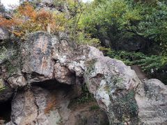 -树山生态村
