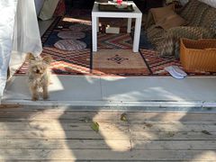 -安德鲁户外烧烤帐篷营地(马泉营店)