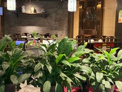 -红鼎坊·老成都火锅(新南门店)