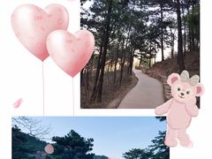 -北京西山国家森林公园