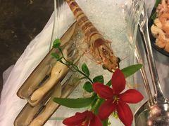 -鲜入围煮花胶鸡海鲜火锅