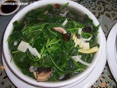 上汤米苋-新聚丰菜馆(太监弄店)