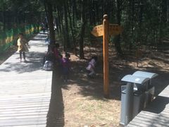 -帽儿山国家森林公园