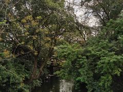 -杨家堂村