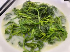 上汤桑叶苗-五谷芳乳鸽王(海景店)