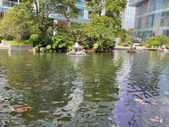 -前海华侨城JW万豪酒店·都会尚膳自助餐厅·牛排海鲜酒水畅飨