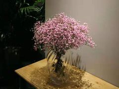 -花诺鲜花(北京路店)