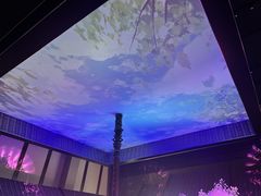 -上海环球金融中心骑迹50年环球之旅