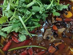 醉牛肉-无味饭店(九眼桥商业文化广场店)