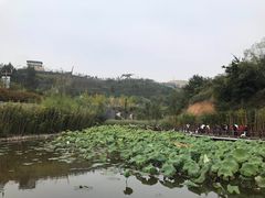 -白鹿原影视城