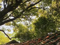 -西园戒幢律寺