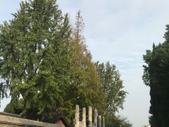 -梅村泰伯庙