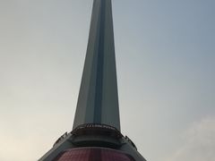-339旋转餐厅(天府熊猫塔店)