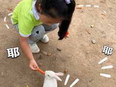 -广东花都香草世界旅游度假区