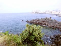 -龙头岩(Dragon Head Rock)