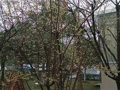 -周公山梦温泉
