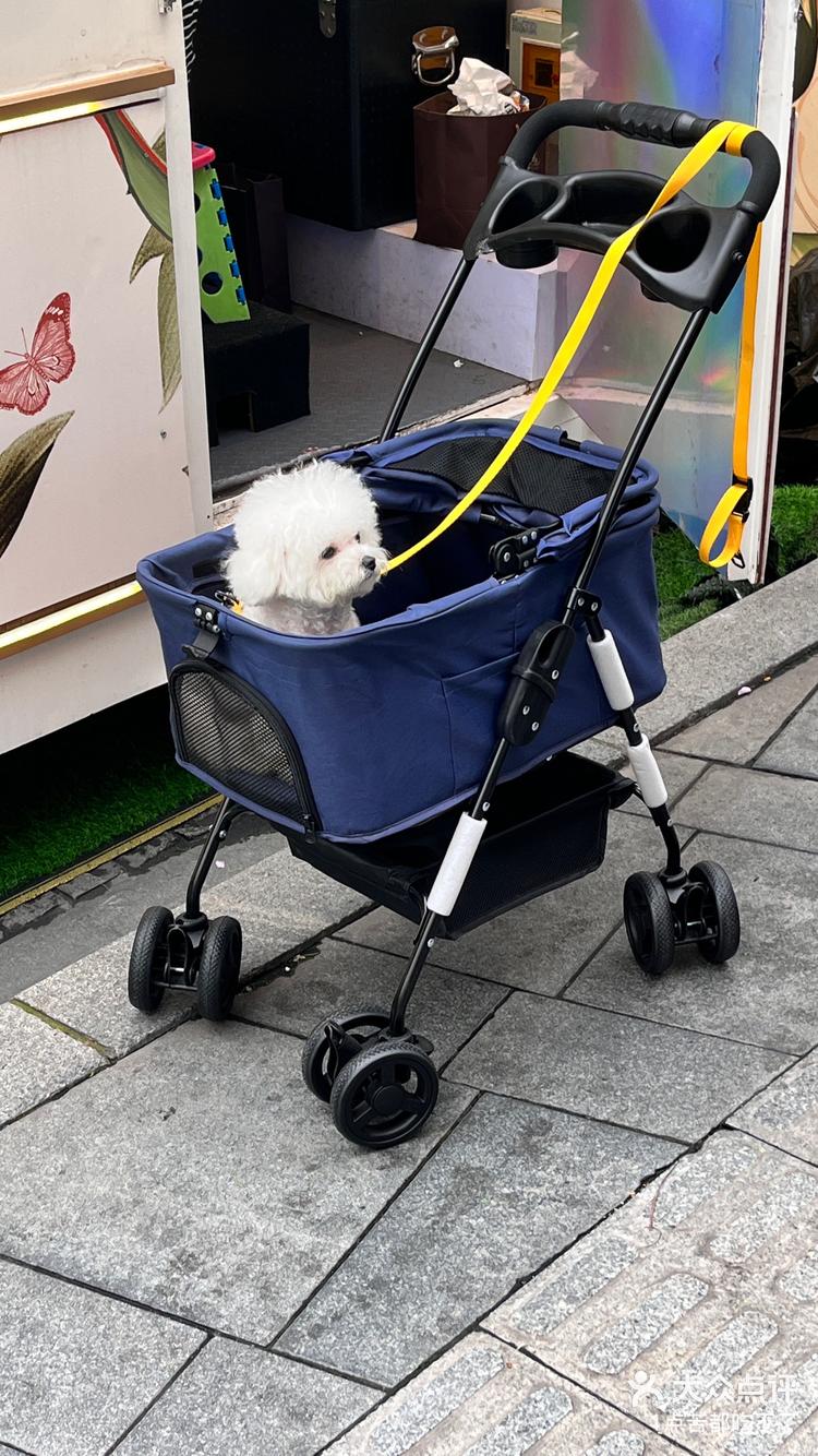 喂这里有人停了小狗车🚗