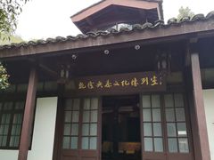 -龙井村