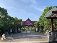 -上海海湾国家森林公园