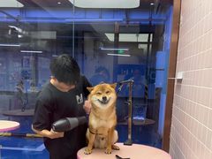 -FAELING PETS美天灵宠物(富力广场店)