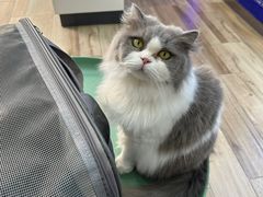 -拜鲁耶动物诊疗中心·宠家动物医院