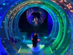 -海合安成都极地海洋公园