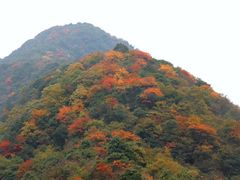 -硗碛藏寨·神木垒景区