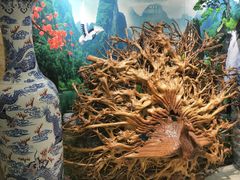 -普天和酒楼·新津菜·烤鸭(天津之眼店)