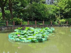 -亭林公园