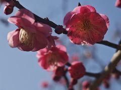 -镇江市南山风景名胜区竹林景区