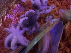 -弗拉门戈西班牙餐厅酒吧(意式风情街店)