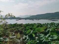 -湖畔居茶楼(湖滨店)