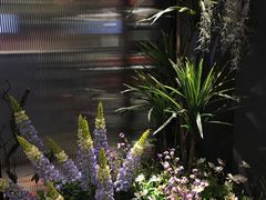 -第101座花园餐厅(湖滨88店)