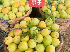 -东山风景区(洞庭东山)