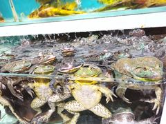 -盒马鲜生(枣园路店)