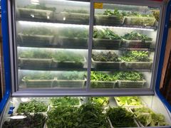 野菜-黔府豆米火锅野菜馆(南马店)