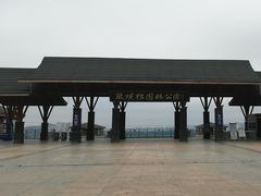 -张坝桂圆林公园