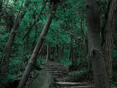 -南京市无想山景区