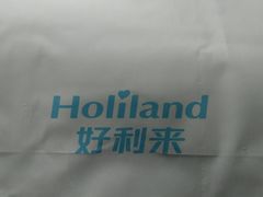 包装(手提袋)-好利来(西铁营万达广场店)