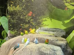 -苏州海洋馆