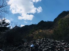 -陕西省红河谷森林公园