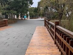 -上海滨江森林公园
