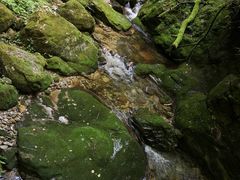 -牛背梁国家森林公园