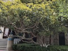 -青岛德国总督楼旧址博物馆