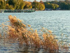 -济南国际园博园