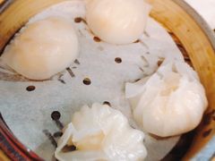 虾饺-点点心点心专门店(湾仔店)