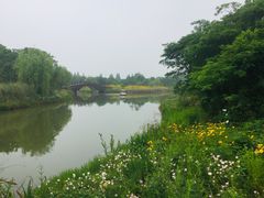 -南湖湿地公园