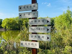 -长兴太湖图影湿地文化园
